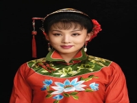 讀西廂黃梅戲原唱(黃梅戲紅樓夢讀西廂)