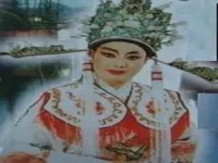 潮劇龍井渡頭(潮劇龍井渡頭16)