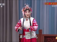 京劇桃花村唱詞(京劇桃花村唱段歌詞)