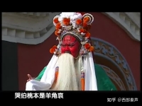 秦腔課文分析(秦腔課文每段段意)