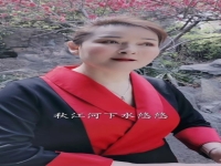 張曉英的豫劇經典唱段集錦的簡單介紹