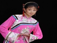 黃梅戲小龍女(黃梅戲小龍女簡(jiǎn)介)