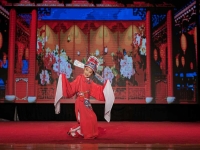 黃梅戲是不是國粹(黃梅戲是國粹還是非物質文化遺產)
