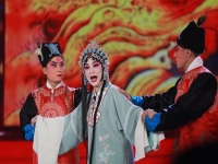 包含河北梆子十大名旦最終排名的詞條