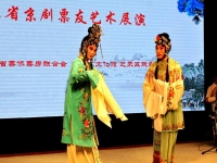 京劇西廂記全劇(京劇西廂記全劇唱段唱詞)