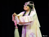 錫劇董云華簡歷丈夫(錫劇16歲花樣年華董云華演唱)