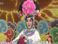 京劇紅樓夢有哪些片段(京劇紅樓夢有哪些片段好看)