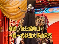 豫劇探陰山唱詞(豫劇探陰山全場劇帶字幕)