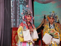 晉劇打金枝鬧宮(晉劇打金枝鬧宮一場(chǎng))