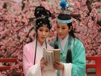 馬蘭十八相送黃梅戲經(jīng)典唱段(黃梅戲越劇對(duì)唱十八相送馬蘭伴奏)