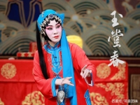 三堂會(huì)審京劇(三堂會(huì)審京劇講的什么)