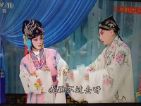 京劇紅娘小姐多風采(京劇紅娘小姐多風采選段曲譜)