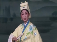 黃梅戲梁祝唱詞(黃梅戲梁祝唱詞吳瓊版本)