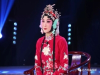 曲劇十大名旦簡介(曲劇十大名旦總決賽)