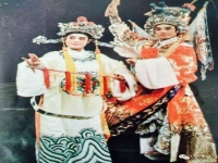 老版潮劇恩仇記(潮劇恩仇記廣東潮劇院一團(tuán))