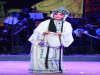 秦腔楊家將金沙灘(秦腔楊家將金沙灘唱詞七人去六人回)