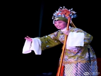 楊家將戲曲豫劇(楊家將戲曲豫劇全場多少部)