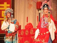 黃梅戲《女駙馬》觀后感800字(黃梅戲女駙馬觀后感800字左右)