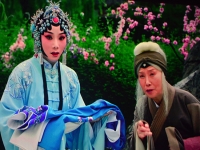 評劇《桃花庵》(評劇桃花庵演員表)