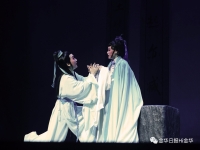 越劇和婺劇的區別(越劇和婺劇的區別在哪里)