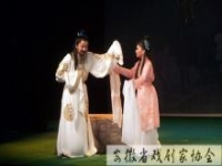 老廬劇大全100集(老廬劇大全100集在線觀看)