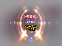黃梅戲主題歌曲大全(黃梅戲歌曲視頻完整版)