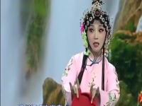 黃梅戲熊辰龍(黃梅戲熊辰龍老婆是吳美蓮)