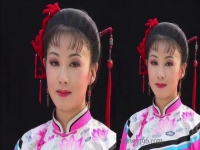 黃梅戲五朵金花哪個最漂亮(黃梅戲五朵金花哪個最漂亮的)