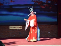 黃梅戲女駙馬文案(黃梅戲女駙馬臺(tái)詞)
