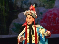 豫劇《風雨行宮》王燕選段(豫劇風雨行宮全場王紅麗主演)