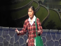 楊紅霞豫劇朝陽(yáng)溝全劇(豫劇楊紅霞演唱的朝陽(yáng)溝)