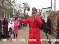 曲劇《柴郡主哭靈》(曲劇柴郡主哭靈原唱劉愛云唱段)