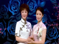 錫劇雙推磨董云華(錫劇雙推磨董云華演唱)