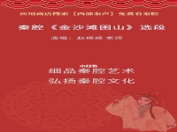 秦腔金沙灘臺詞(秦腔金沙灘臺詞完整版)