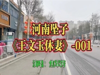 河南墜子焦軍芳長篇2(河南墜子焦軍芳長篇楊家將)