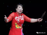 曲劇劉公案1到12全集(曲劇劉公案1到12全集下載)