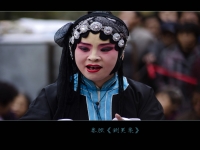 秦腔戲視頻大全(秦腔戲曲視頻大全)