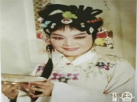 西路評(píng)劇花亭會(huì)全部(西路評(píng)劇夜宿花亭全集)