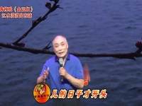 金玉奴黃梅戲原唱(黃梅戲金玉奴人物分析)