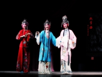 都有什么戲曲種類(你知道的戲曲種類有哪些)