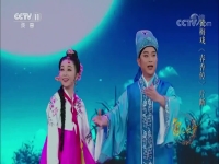 黃梅戲袁媛老公(袁媛黃梅戲專場演唱會)