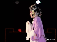 河南省百花豫劇團(河南省百花豫劇團簡介)