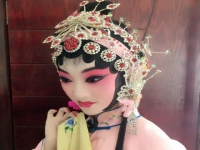 秦腔楊昕艷簡介(秦腔楊昕艷藝術(shù)簡介)