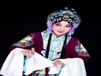 馬莉豫劇十大名旦(馬麗芬豫劇選段視頻)