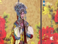 孫娜河北梆子演員籍貫?zāi)睦?孫娜河北梆子演員是哪年生的)