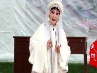高手在民間豫劇秦雪梅(秦雪梅全集視頻河南豫劇)