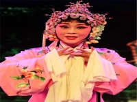 淚灑相思地黃梅戲(淚灑相思地黃梅戲原唱)
