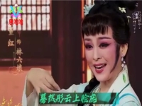 錫劇伴奏視頻(錫劇選段純伴奏)