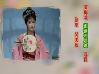 黃梅戲是誰唱的(黃梅戲誰唱的最經典?)