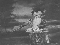 韓玉生豫劇專輯(河南豫劇三團韓玉生)